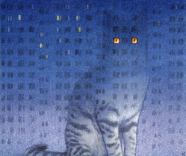 pawel kuczynski