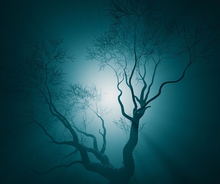 Gallery of photography by Justin Wirtalla - USA