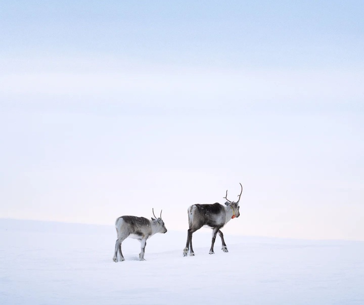 Gallery of Photography by Liam Man - UK