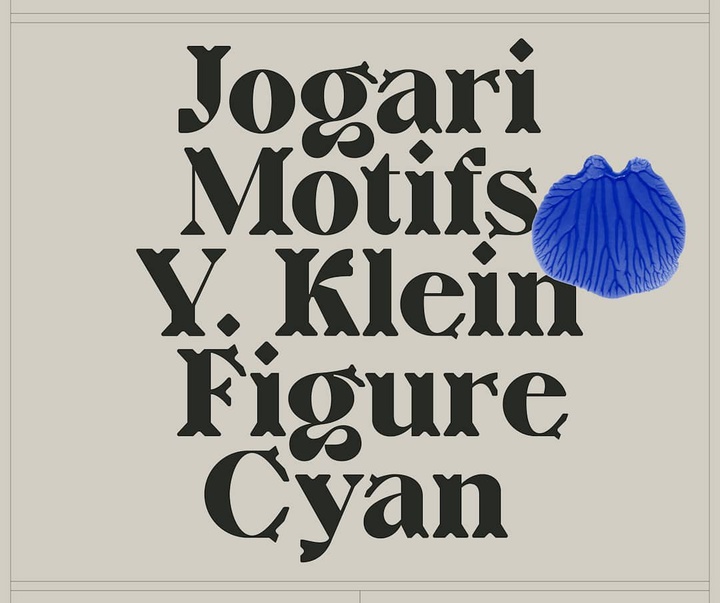 Gallery of graphic designe by Violaine & Jérémy