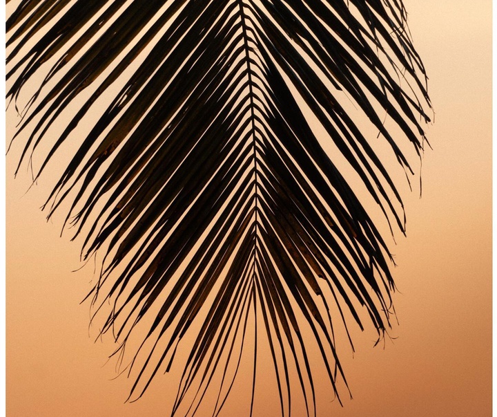 Gallery of Photography by Lawrence Walton - UK