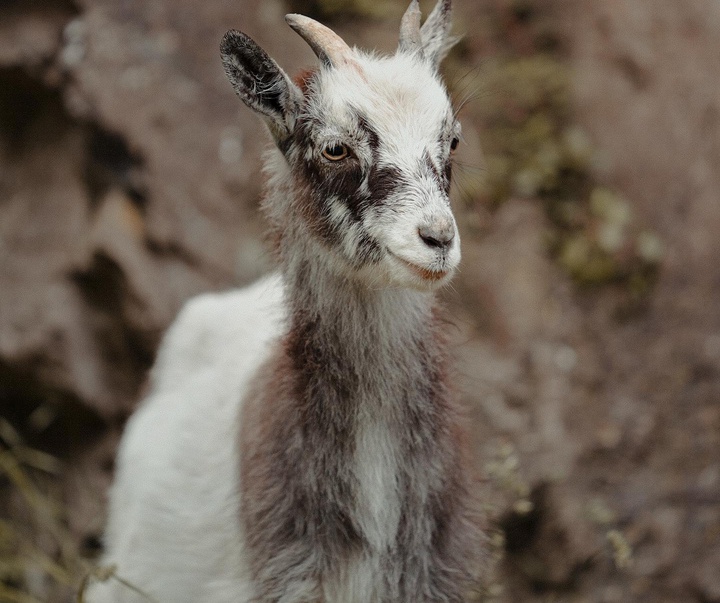 Gallery of Photography by Gareth Llewellyn - Wales