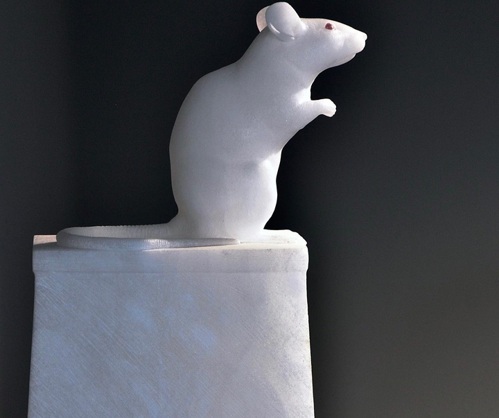 Gallery of Sculpture by Gerard Mas - Spain