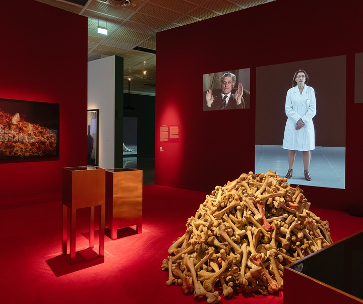 Gallery of Modern Art by Marina Abramović - Serbia