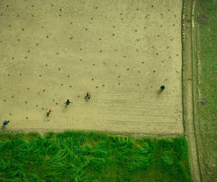 Gallery of Photography by Shamim Shorif Susom - Bangladesh