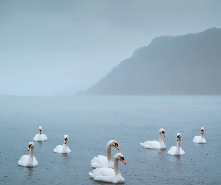 Gallery of Photography by Liam Man - UK