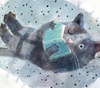 Gallery of Illustration by Natalia Shaloshvili - Crimea