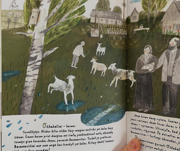 Gallery of Illustration by Monika Vaicenavičienė - Lithuania