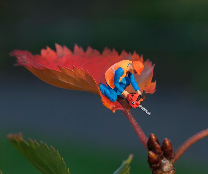 Gallery of Illustration by Slinkachu - England