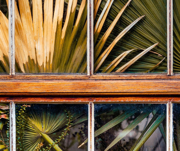 Gallery of Photography by Craig Whitehead - UK