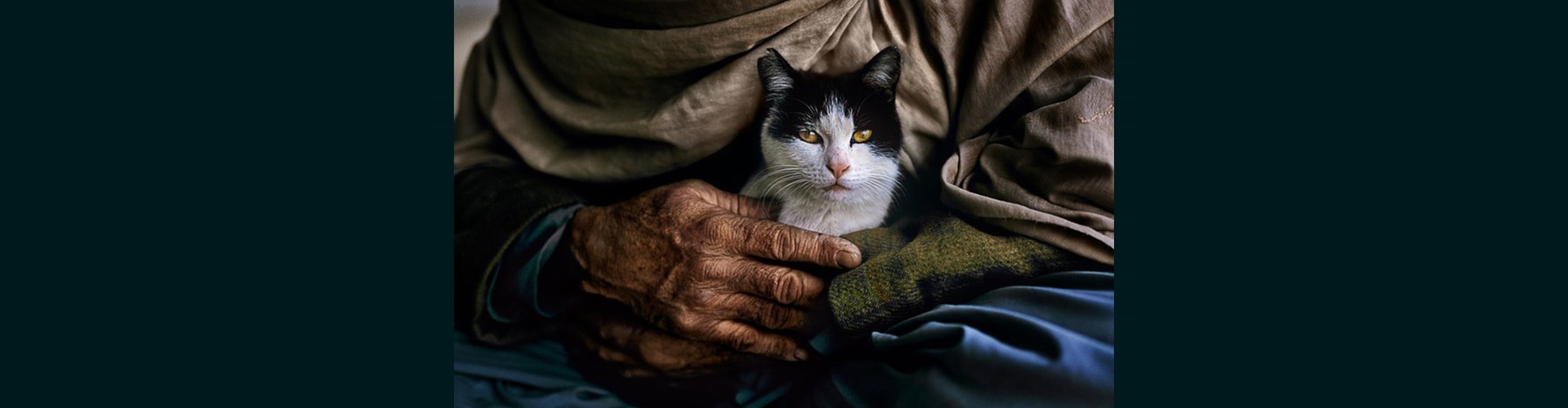 Gallery of Photography by Steve McCurry - USA