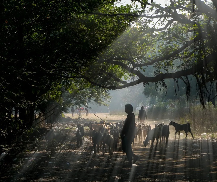 Gallery of photography by Tanay Sahoo-India