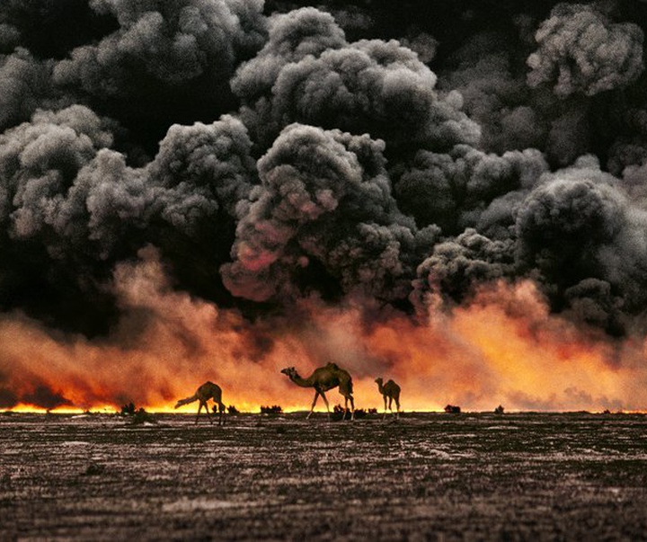 Gallery of Photography by Steve McCurry - USA