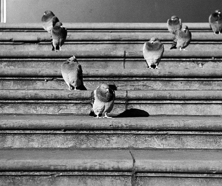 Gallery of Photography by Walter Rothwell - UK
