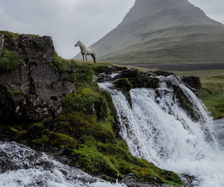 Gallery of photography by Liga Liepina - Iceland