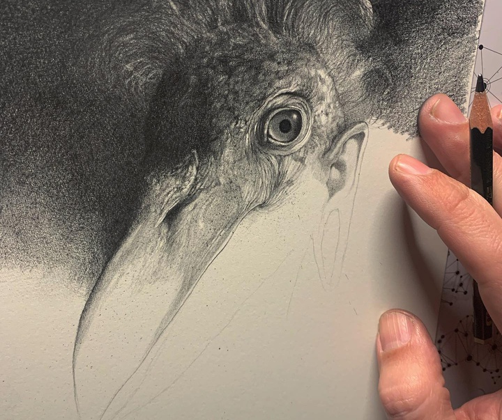Gallery of Drawing by Juan Jose Martinez Canovas - Spain