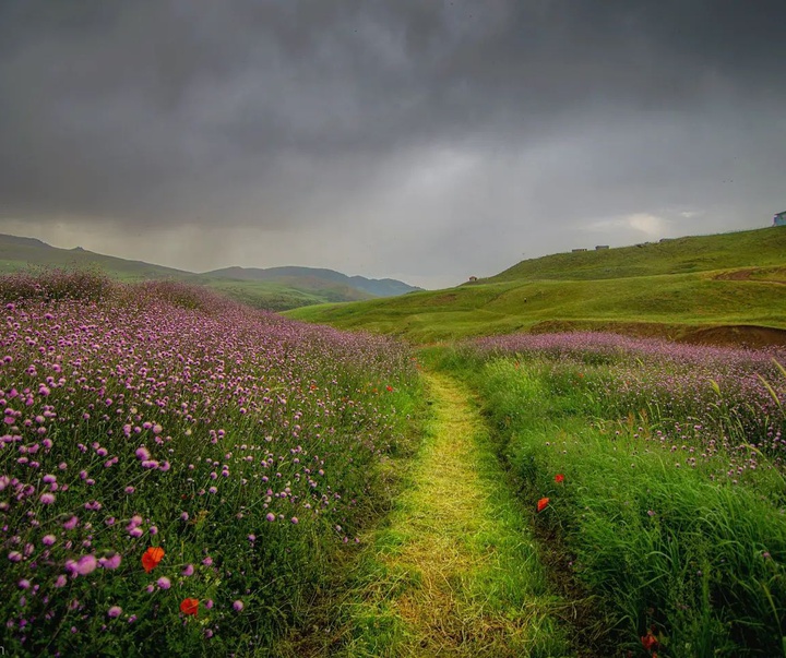 Gallery of Photography by Javad Jahanbin- Iran