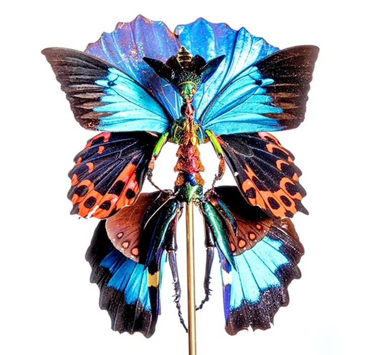 Gallery of Sculpture by Cedric Laquieze - USA