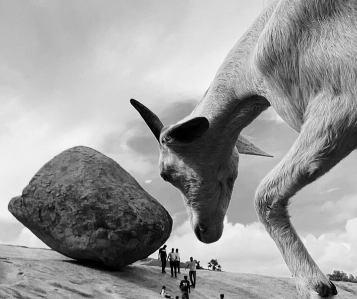 Gallery of Photography by Dimpy Bhalotia - India