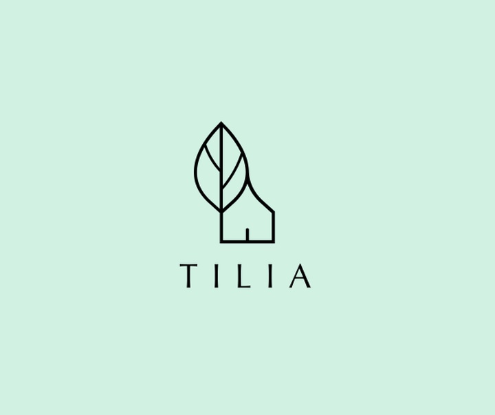 gallery of Graphics by Ramin Nasibov