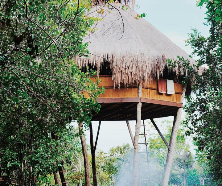 Gallery of Photography by Luisa Dörr - Brazil