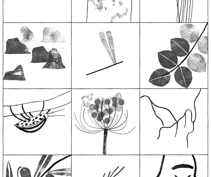 Gallery of Illustration by Francisca Alvarez Sánchez - Chile