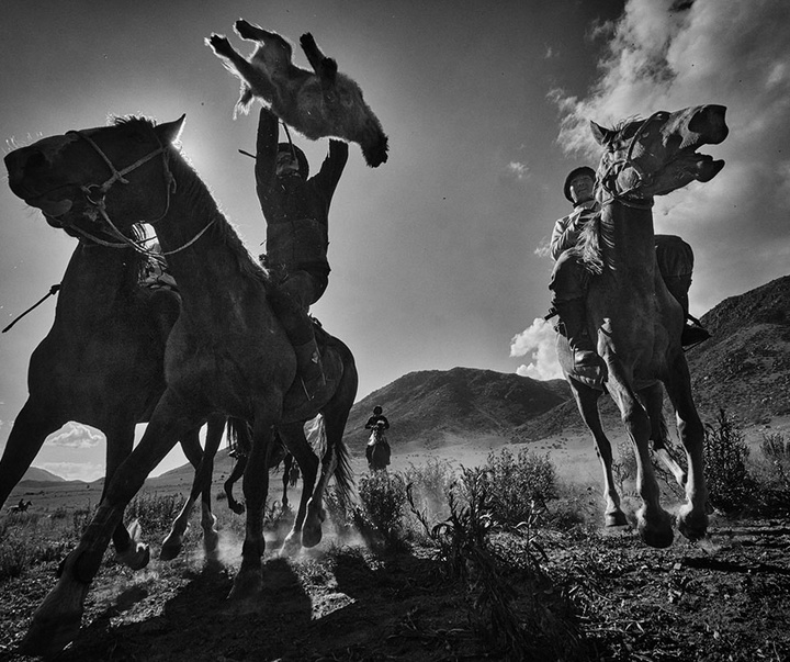 Gallery of Photos International Contest -Istanbul 2021