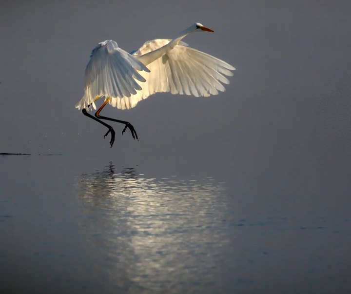 Gallery of photography by Mustafa Shahbaz - Turkey