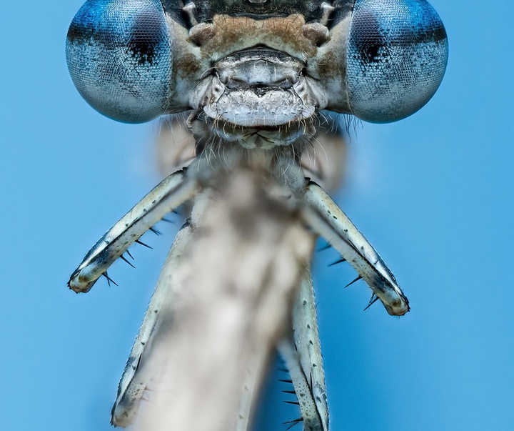Gallery of Photography by Ben Salb - USA