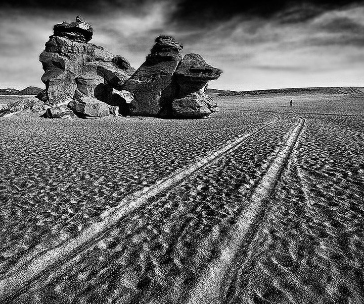 Gallery of photography by Rocha" - Roberto Soares Gomez-Brazil