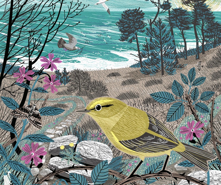 Gallery of Illustration by Matt Johnson - UK