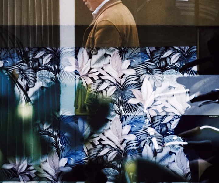 Gallery of Photography by Karen Schlotke - Netherlands