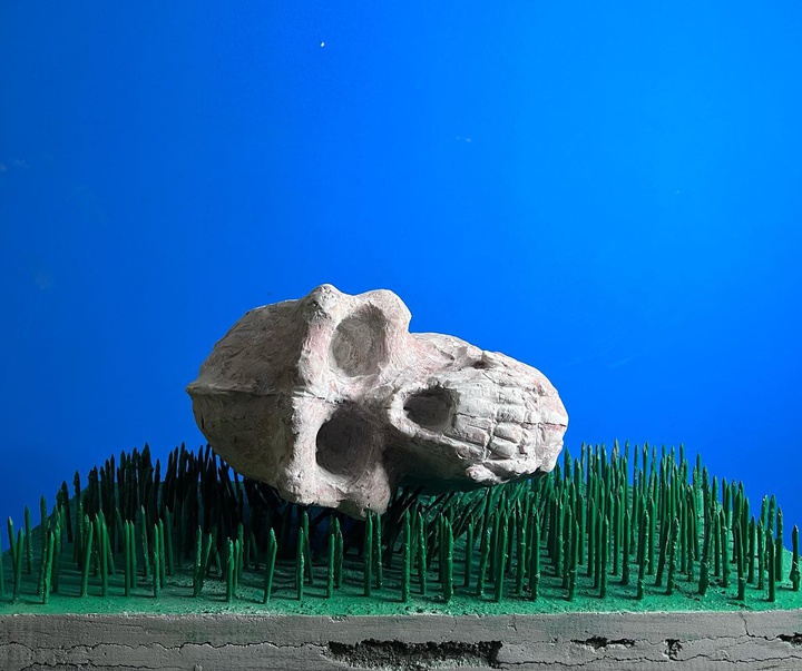 Gallery of Sculpture by Adi Piorescu