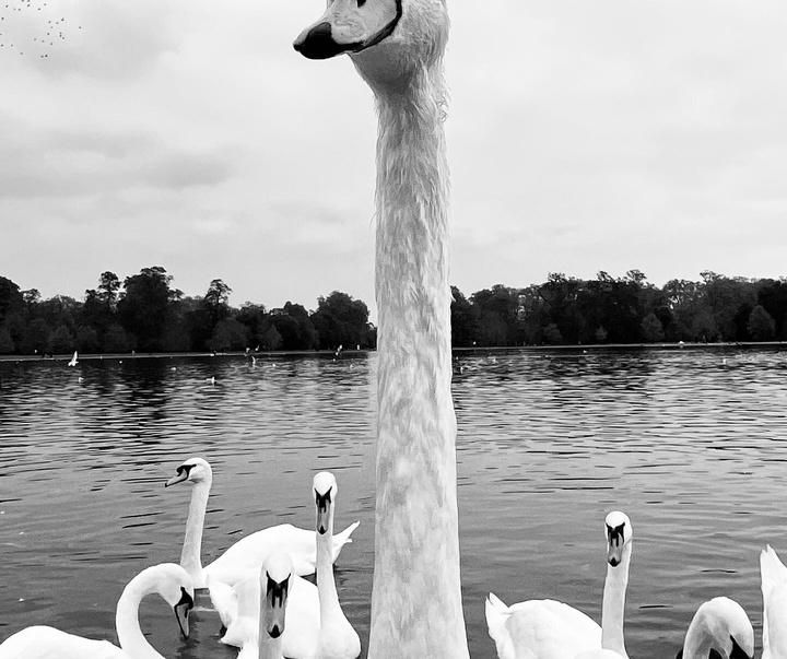 Gallery of Photography by Dimpy Bhalotia - India