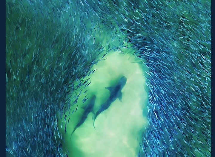 Gallery of Photography by Joanna Steidle - USA