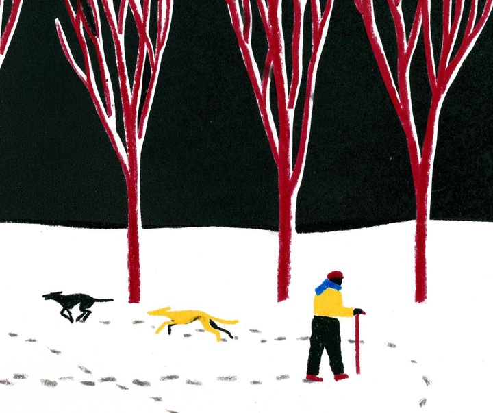 Gallery of Illustrations by Valerio Vidali - Italy