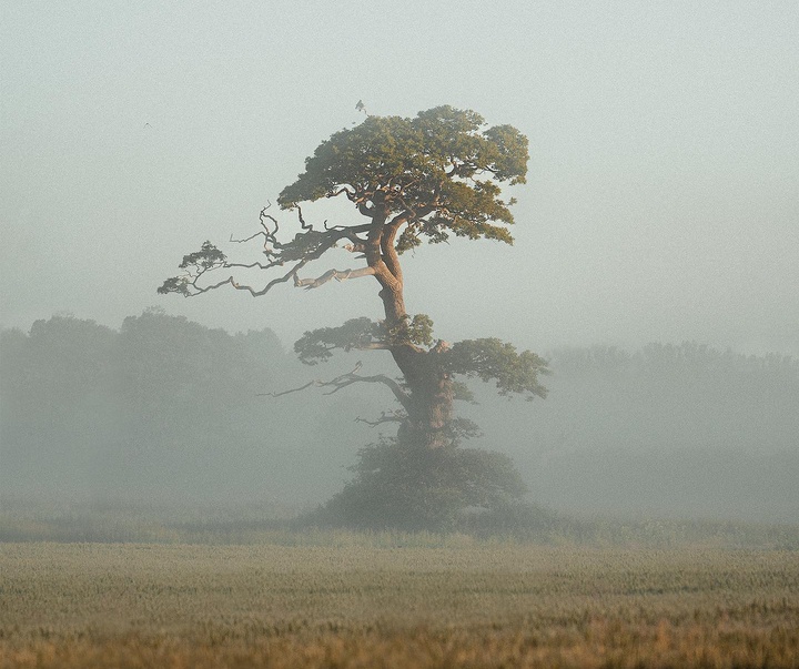 Gallery of Photography by Gareth Llewellyn - Wales