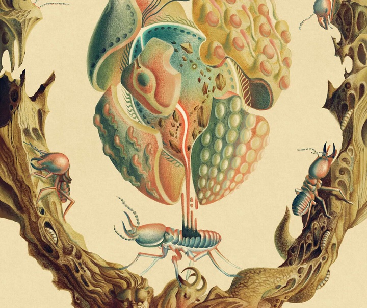 Gallery of Illustration by Ada Zejun Shen - USA