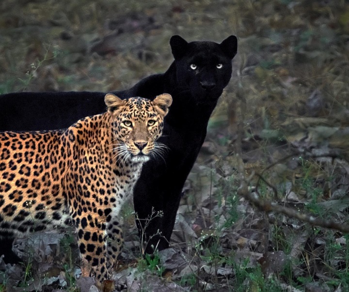 Gallery of Photography by Mithun Hunugund