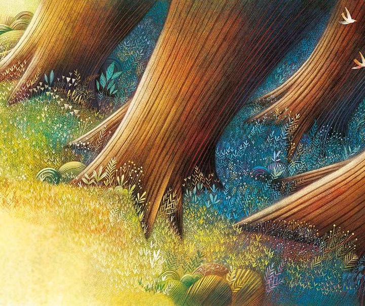 Gallery of illustration by Rogério Coelho from brazil