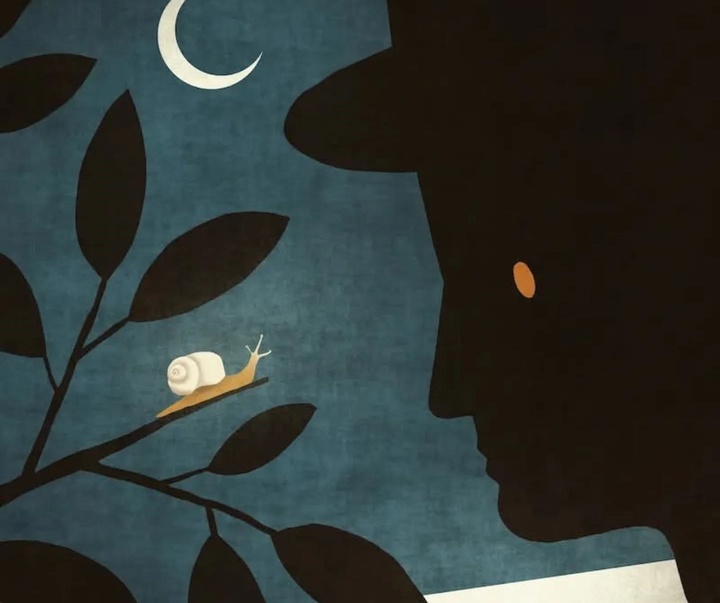 Gallery of Illustration by Toni Demuro - Italy