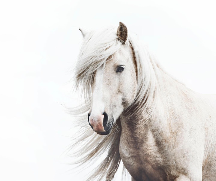Gallery of Photography by Gigja Einars - Iceland