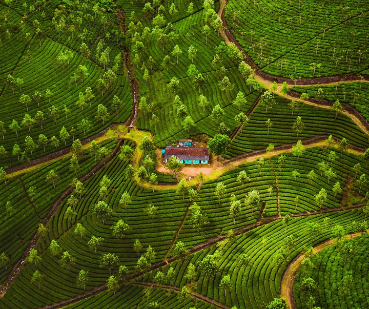 Gallery of Photography by Nishchay Bharati Jain - India