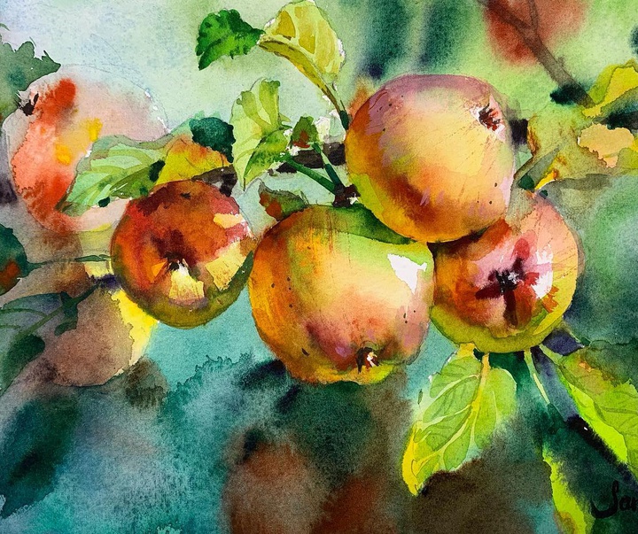 Gallery of Watercolor Painting by Samira Yanushkova- Ukraine