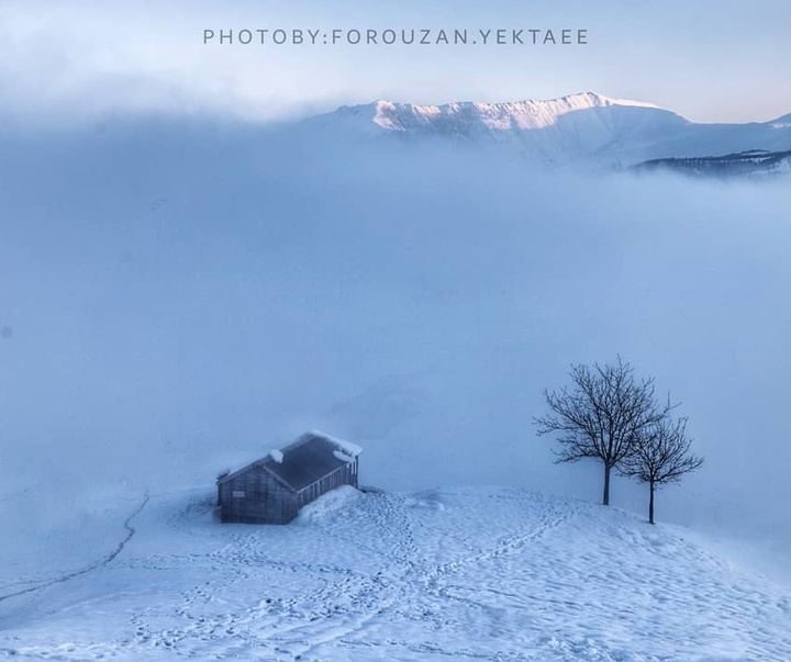 Gallery of Photography by Forouzan Yektaee-Iran