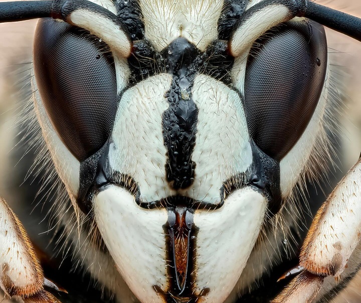 Gallery of Photography by Ben Salb - USA