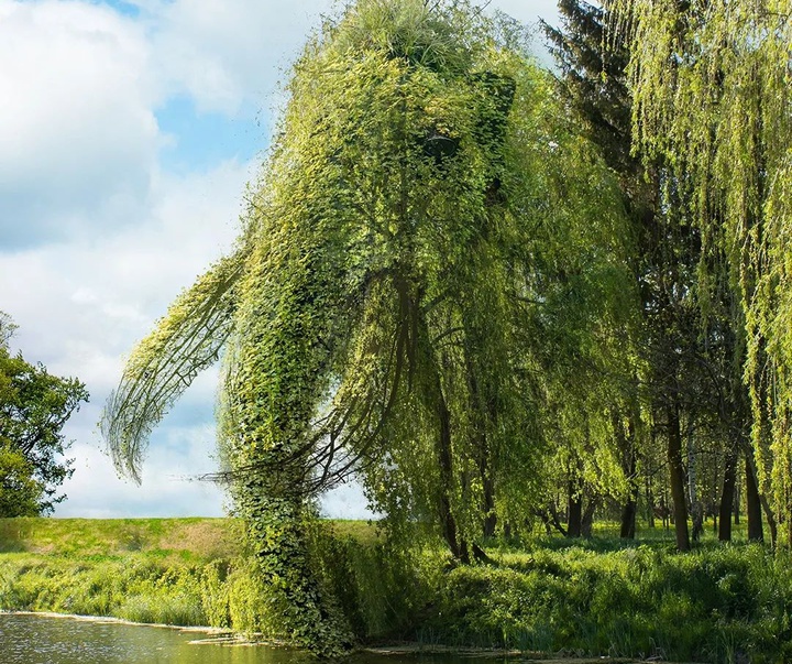 Gallery of Photography (Photo Art) by Martijn Schrijver - Netherlands