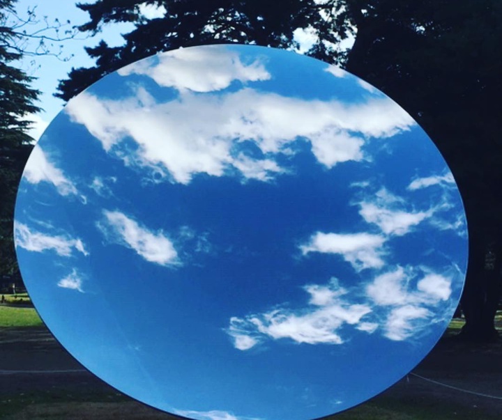 Gallery of Sculpture by Anish Kapoor - India