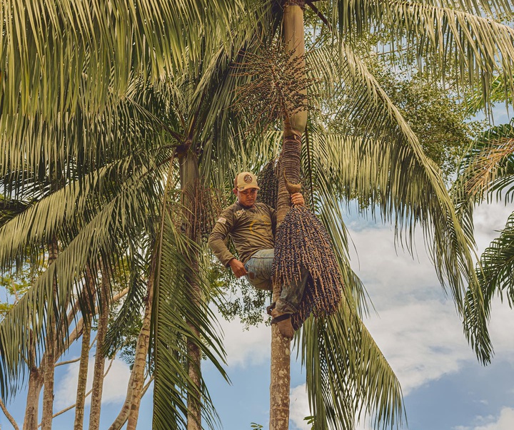 Gallery of Photography by Luisa Dörr - Brazil