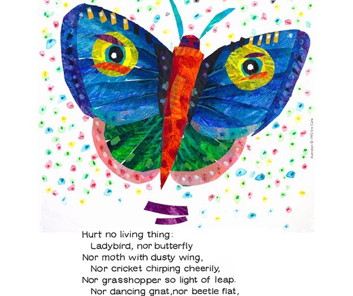 gallery of Illustrations by Eric Carle from USA